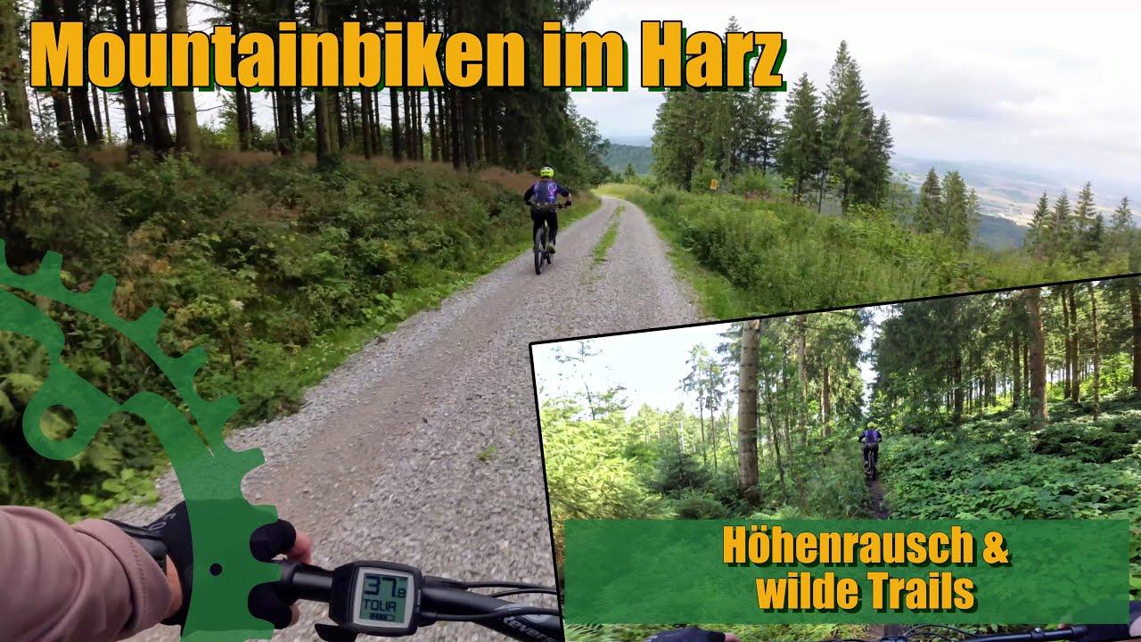 E-MTB im Harz: Höhenrausch & wilde Trails bei Clausthal-Zellerfeld