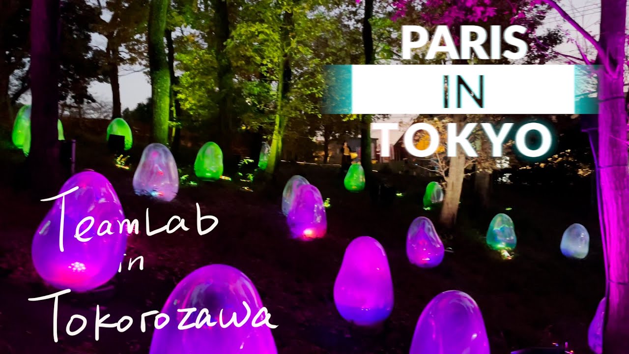 teamLab interactive art in forest park & Tokorozawa Sakura Town - Tokyo Explore Vlog