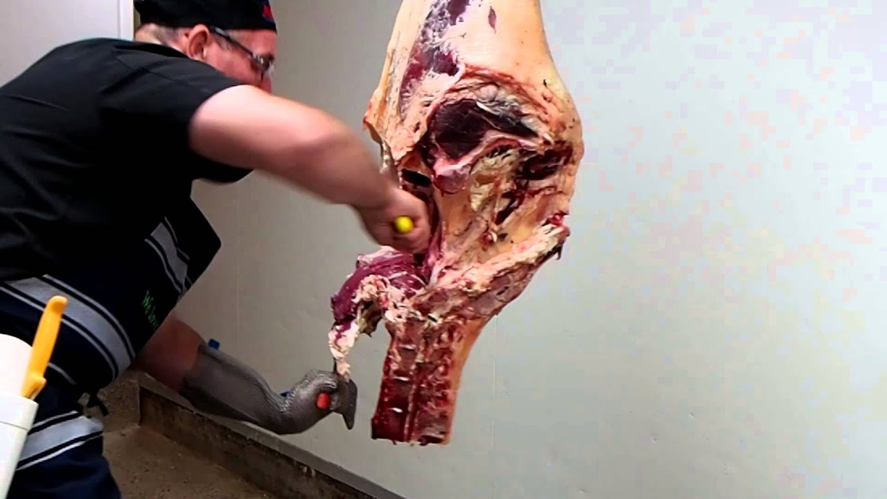 T Bone