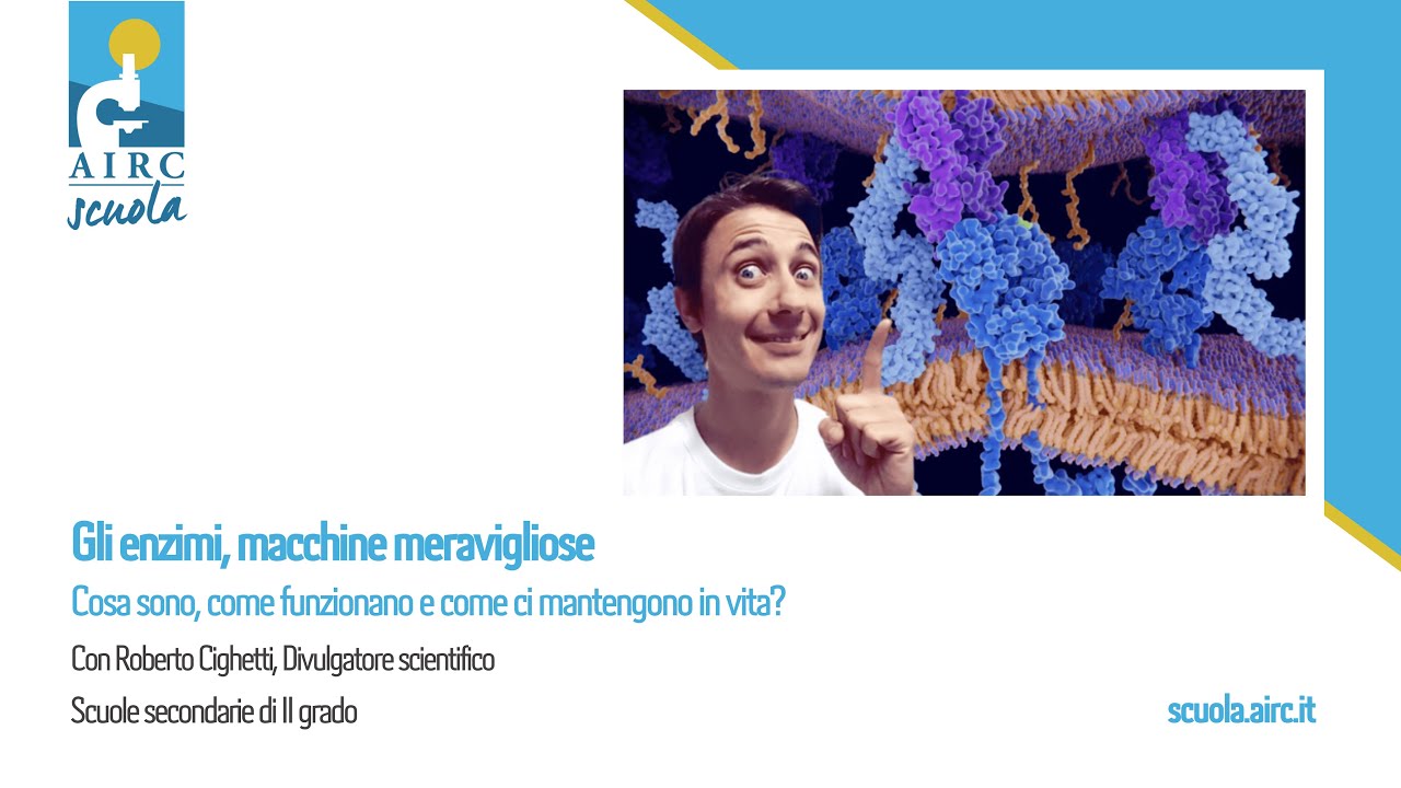 Gli enzimi, macchine meravigliose - Webinar AIRC