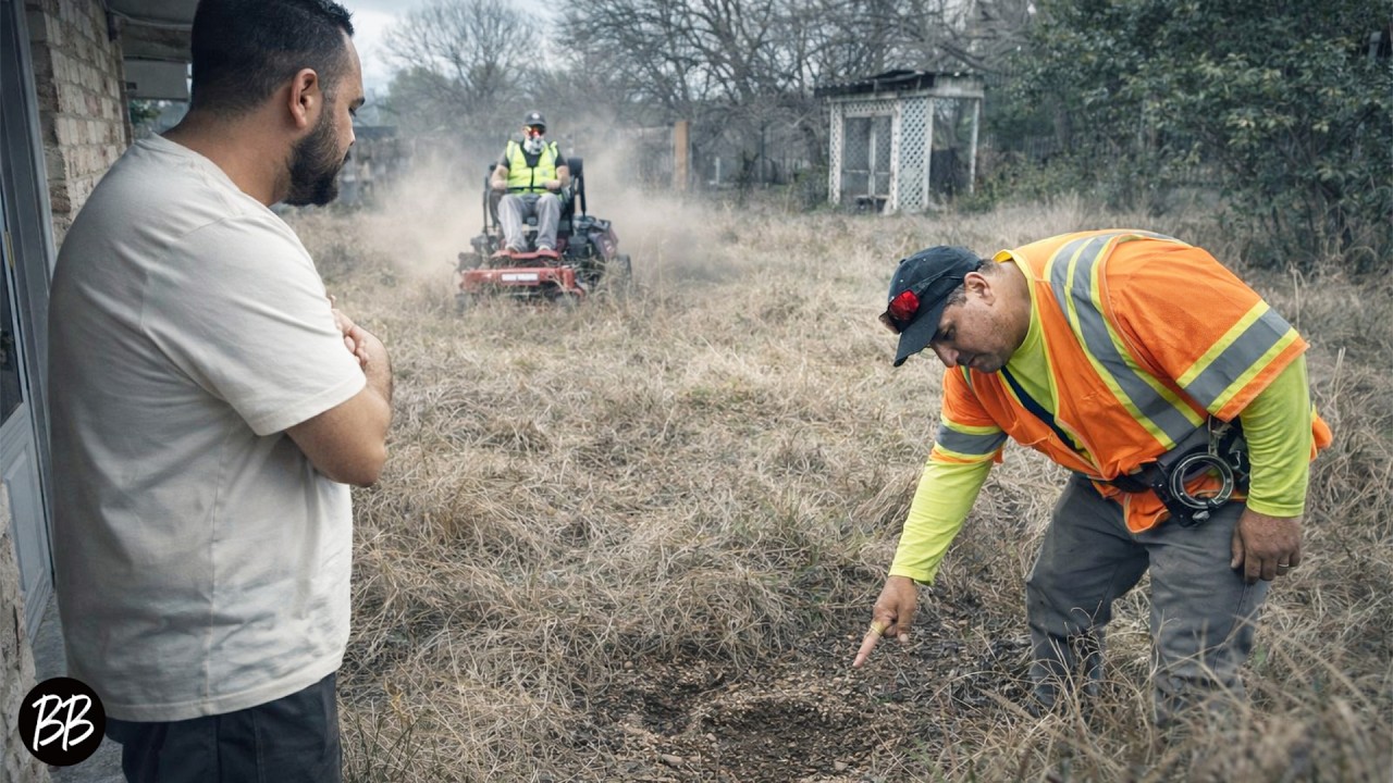 Нам запретили косить траву на заднем дворе — а потом мы поняли почему.