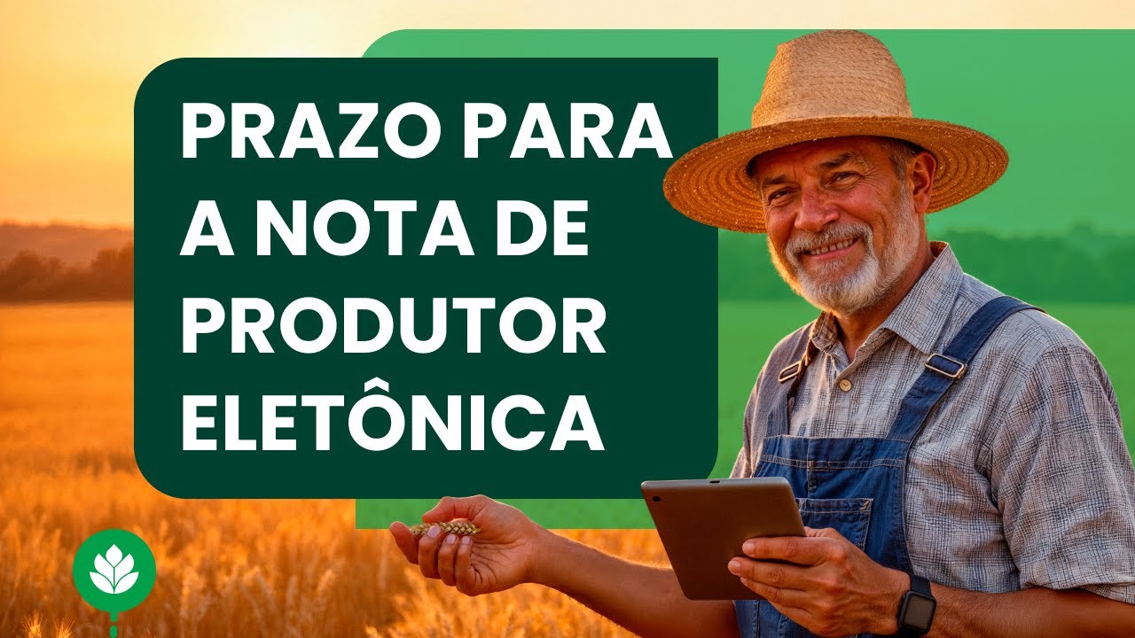 Prazo para Nota de Produtor Eletrônica: confira as atualizações
