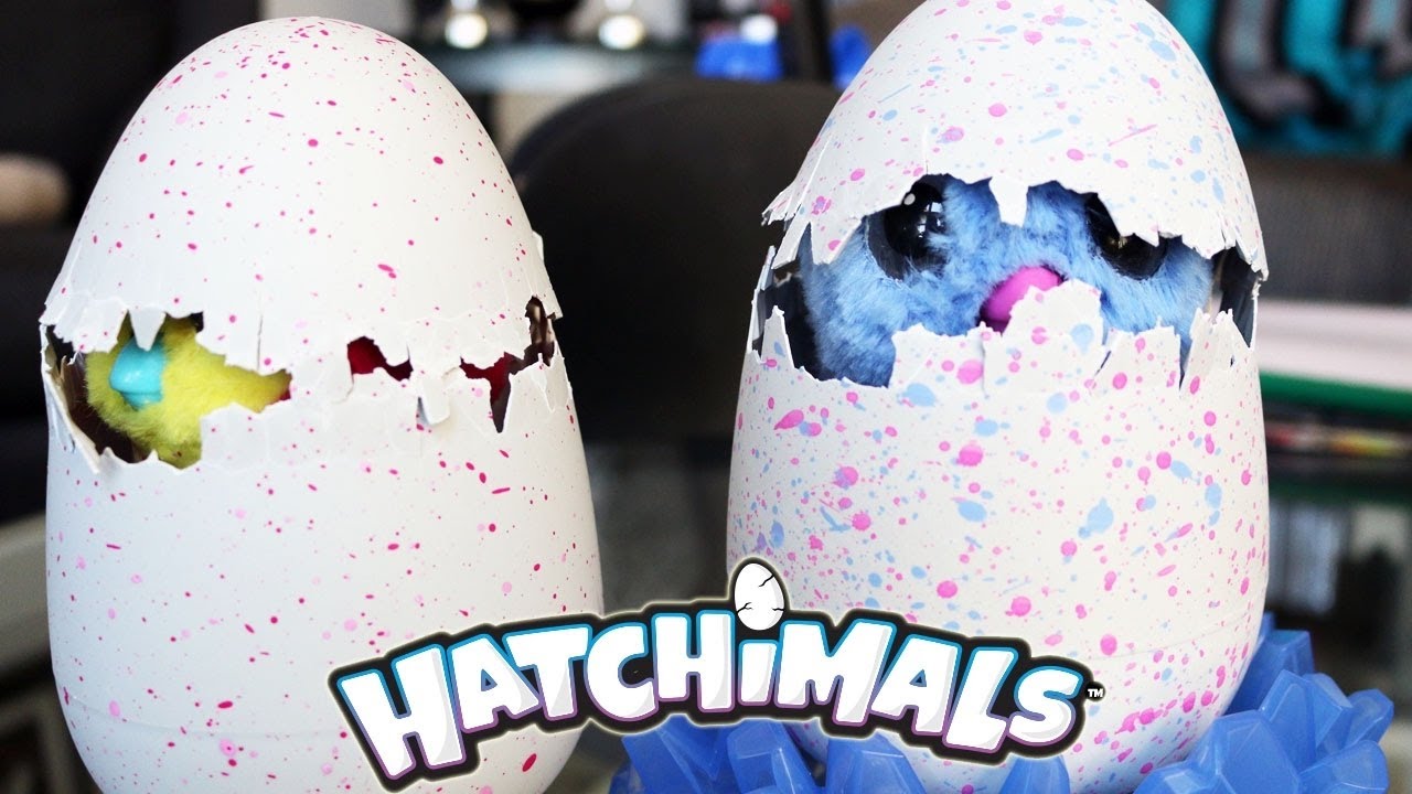 My Baby Twins are Hatching!! Hatchimals Surprise Eggs Owlicorn and Pengualas Hatching