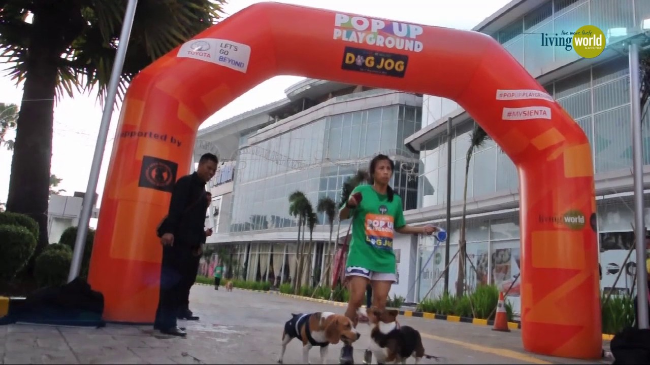 Pop Up Playground Dog Jog | Living World Alam Sutera 2017