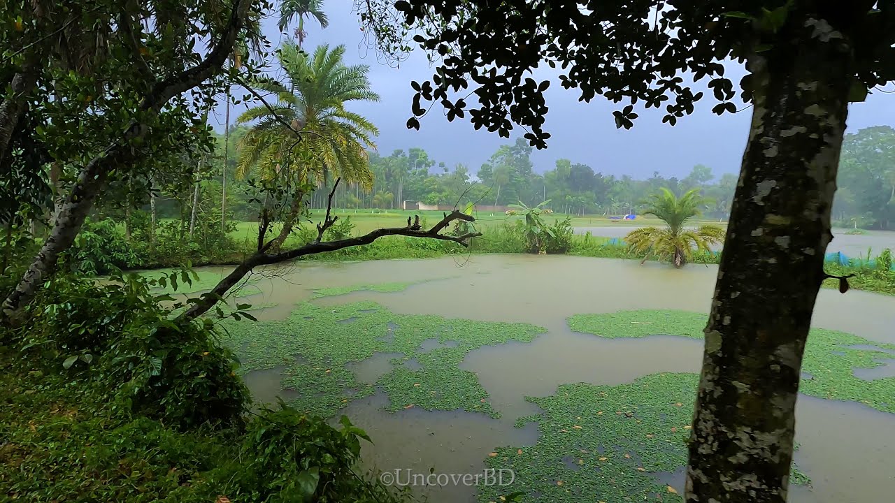 Rainy Day Village Life 4K - Explore the Land of Beauty!