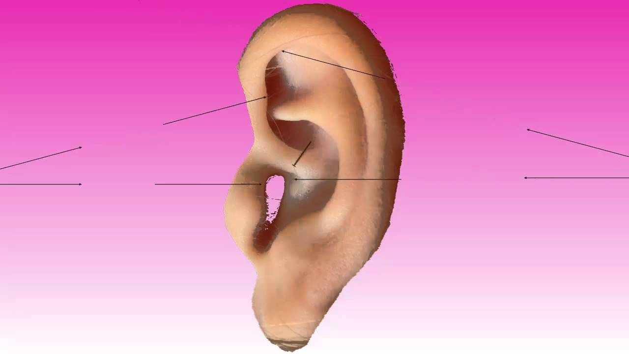 How does stereo sound work?