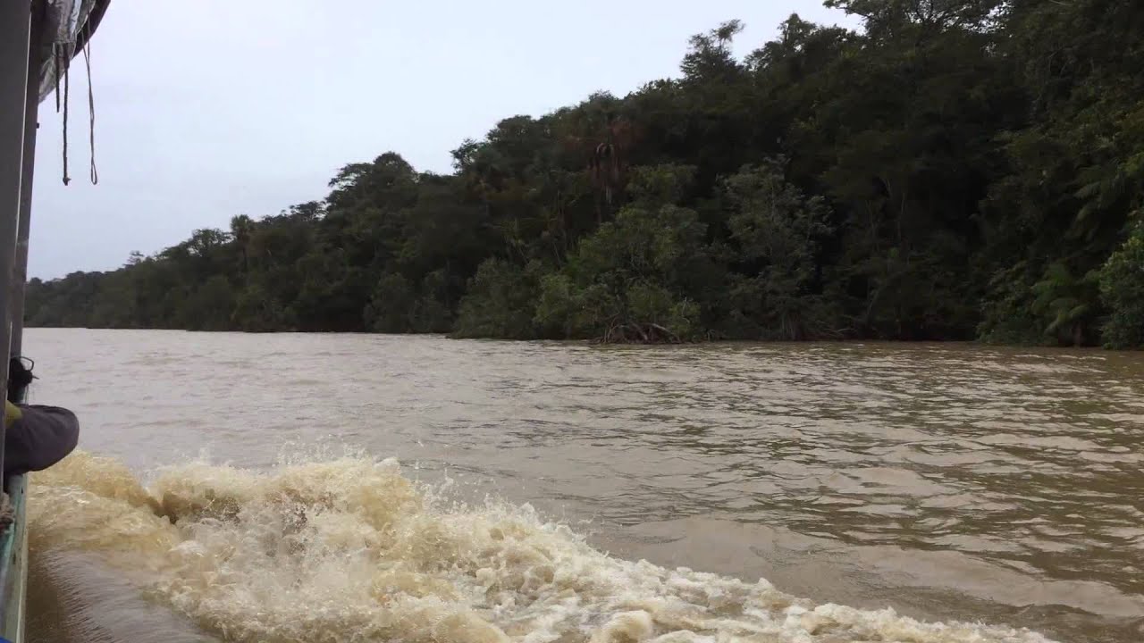 By boat on the Marowijne river between Galibi and Albina, Suriname