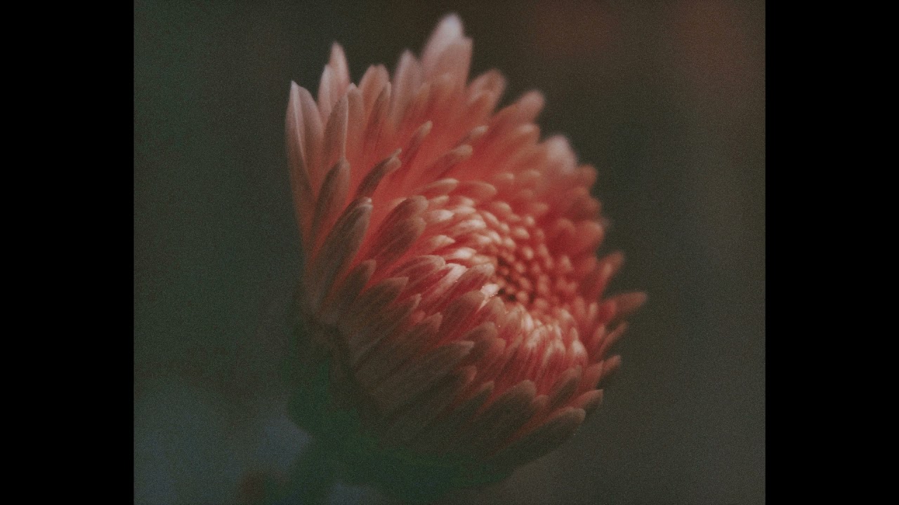 Summer Walker Acoustic Type Beat - 