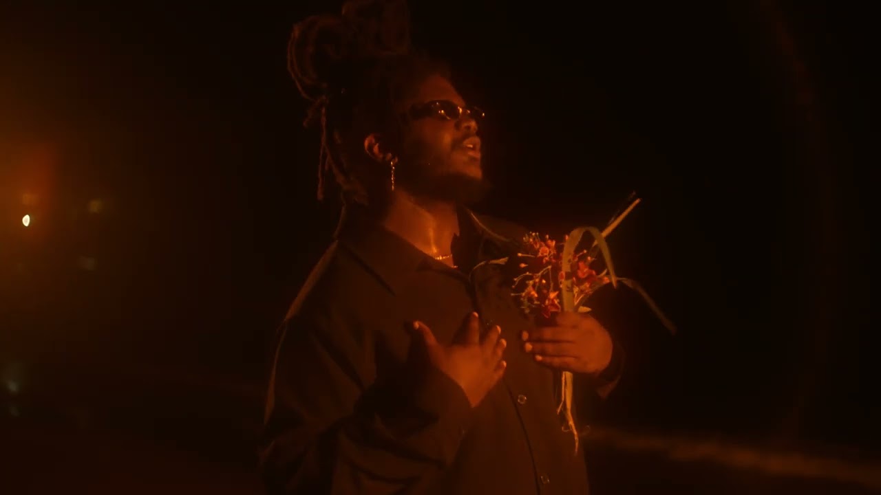 Mortimer - Flowers & Flames (Official Visualizer)