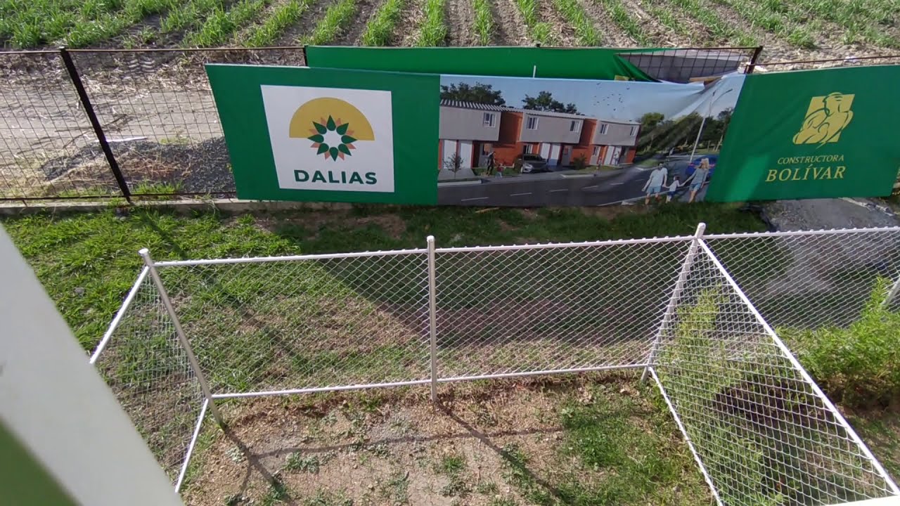 Dato Curioso Del Proyecto De Vivienda Dalias Belorizonte