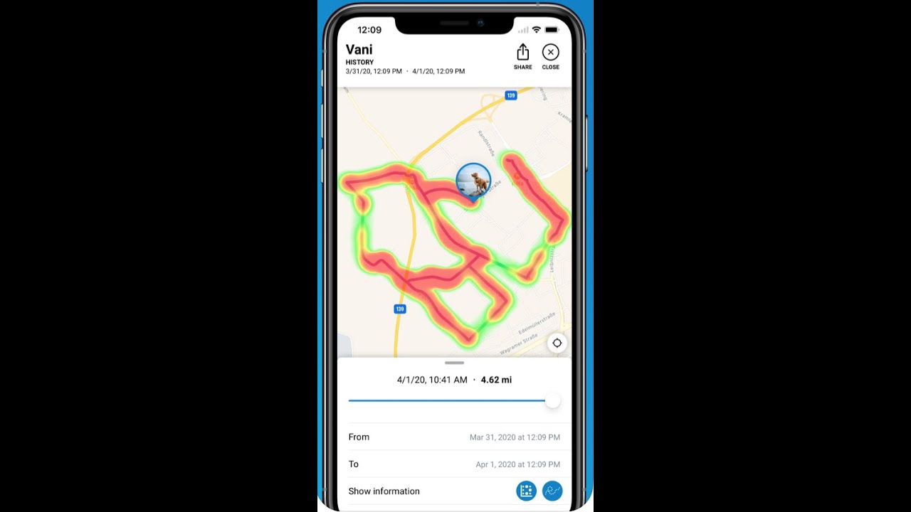 Обзор IOS приложения Tractive GPS для собак
