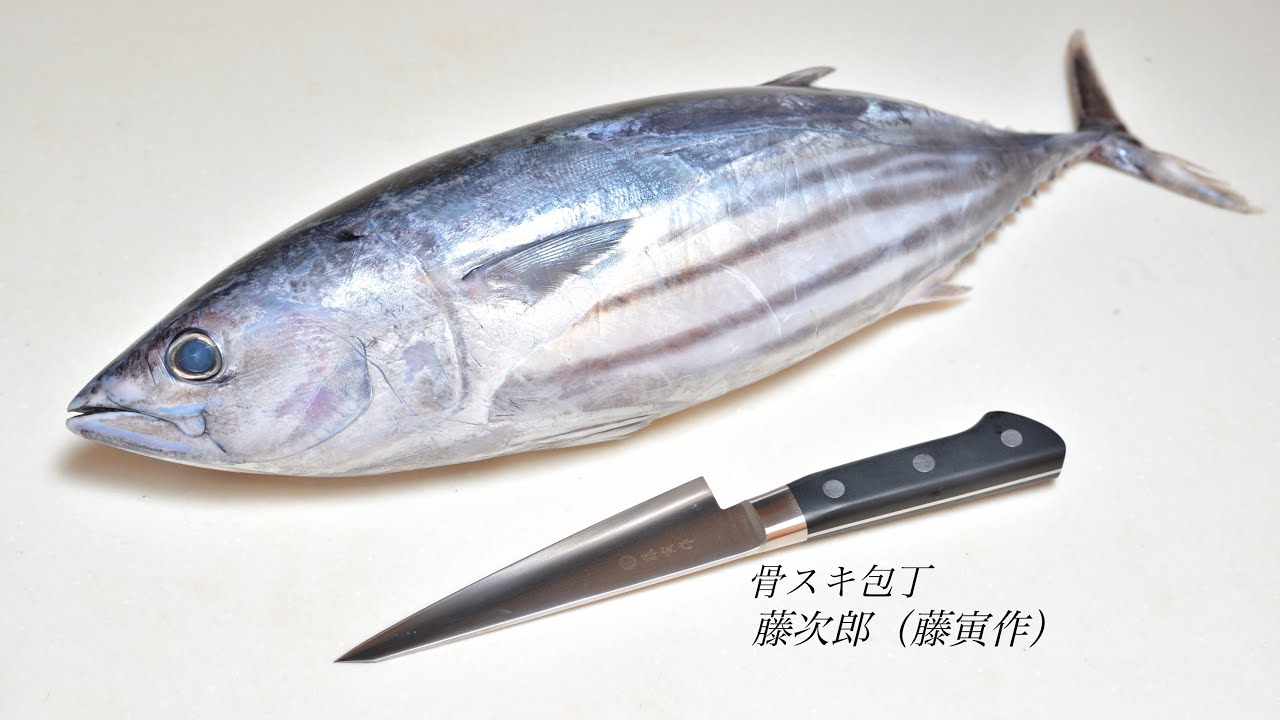 【魚屋も使う包丁】骨スキ包丁でカツオを捌く【藤次郎 藤寅作】【鰹のさばき方】【魚さばき】