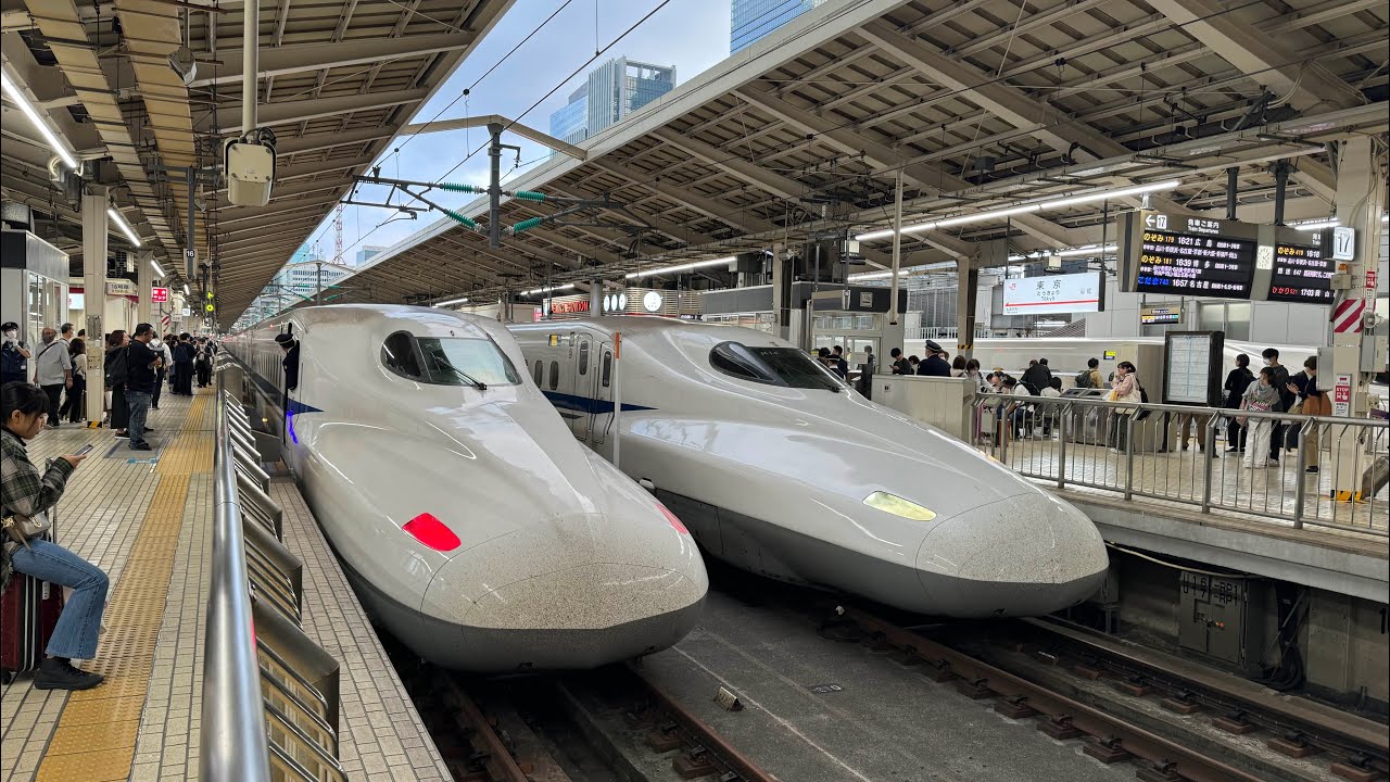 Take a ride on the Shinkansen (Bullet Train). Tokyo, Mt. Fuji, Nagoya, Kyoto, Osaka.