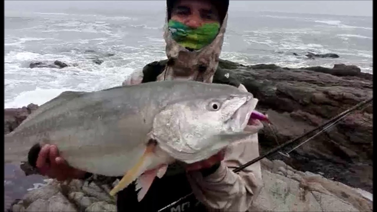 PESCA DE CORVINA CILUS GILBERTI