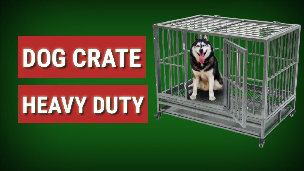 Dog Crate 🐕 🏡 Top 4 Best Heavy Duty Dog Crates