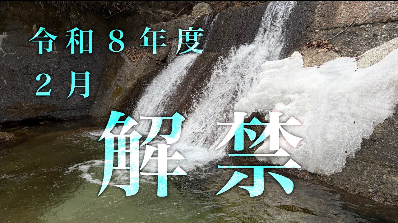 ●令和８年　渓流解禁　短時間釣行でアマゴに会う　渓流釣り　源流　mountain stream fishing