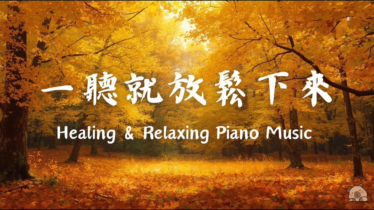 專為「高敏感族」設計的 1 小時鋼琴療癒｜屏蔽雜音、穩定情緒、深度放鬆｜水豚陪伴你的寧靜時光