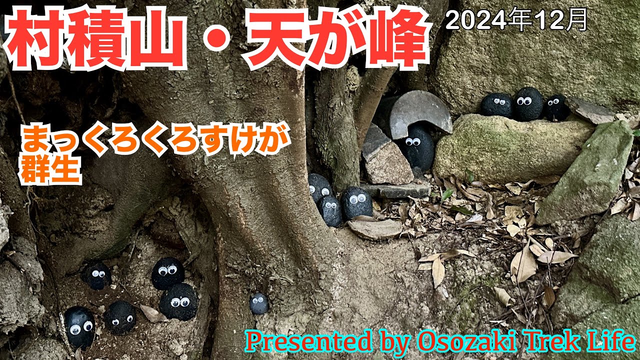 【村積山・天が峰 登山】群生するまっくろくろすけを探しに村積山へ！合わせて天が峰をピークハントしちゃいまっす！！　2024年12月