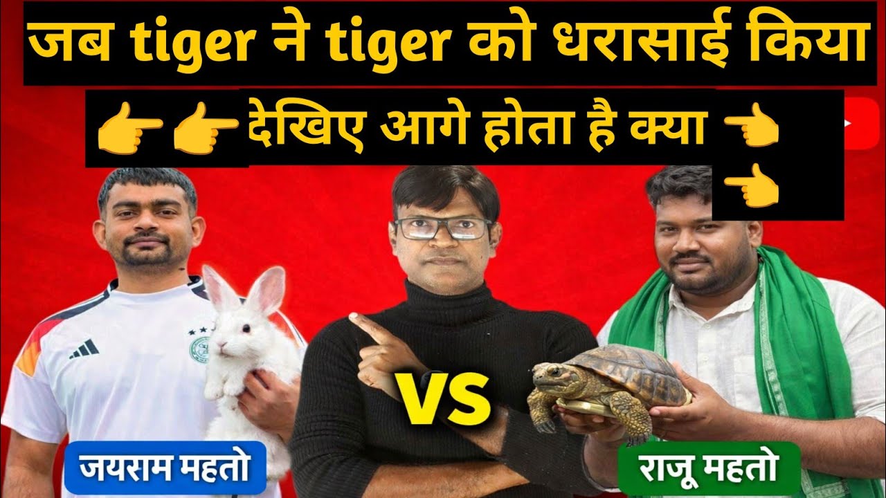 जब tiger ने tiger को धरासाई किया ll देखिए आगे होता है क्या 