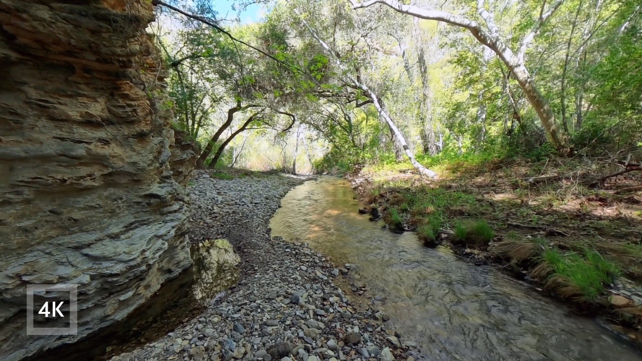 Walk through Flowing Creek | 4k Forest Sounds
