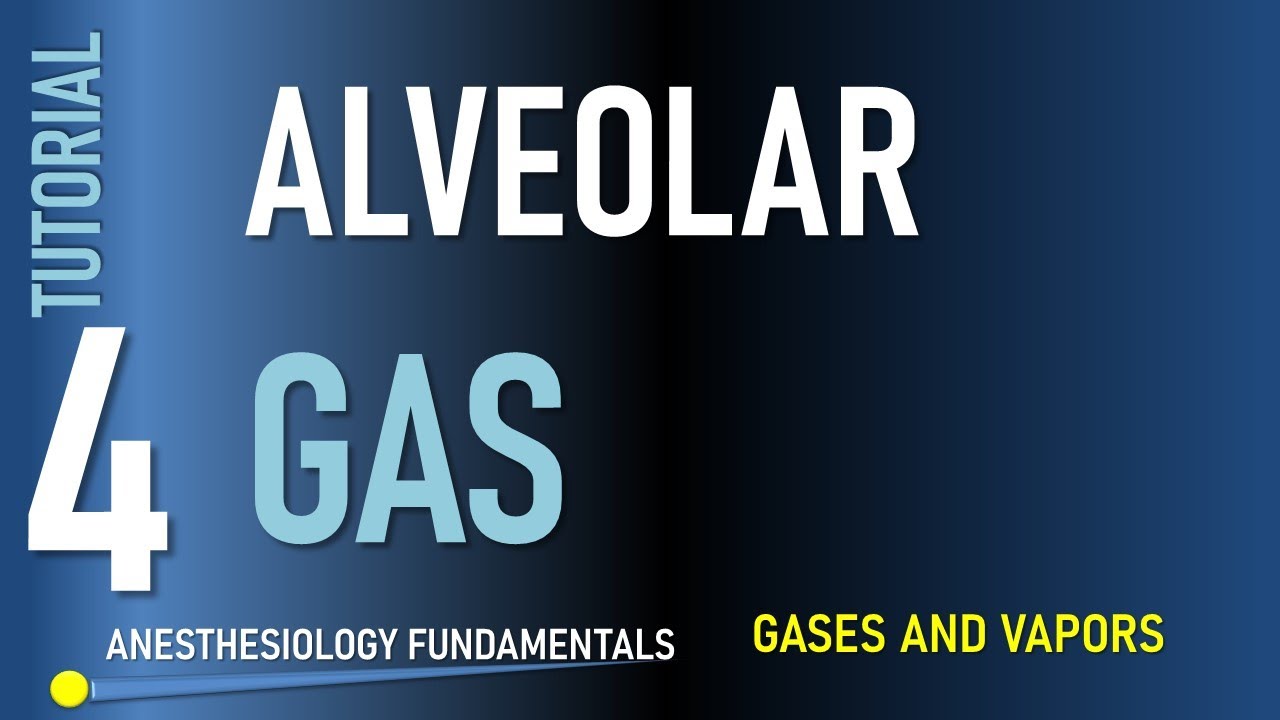 Alveolar Gas - Hypoxemia, A-aO2 Gradient and the PF Ratio