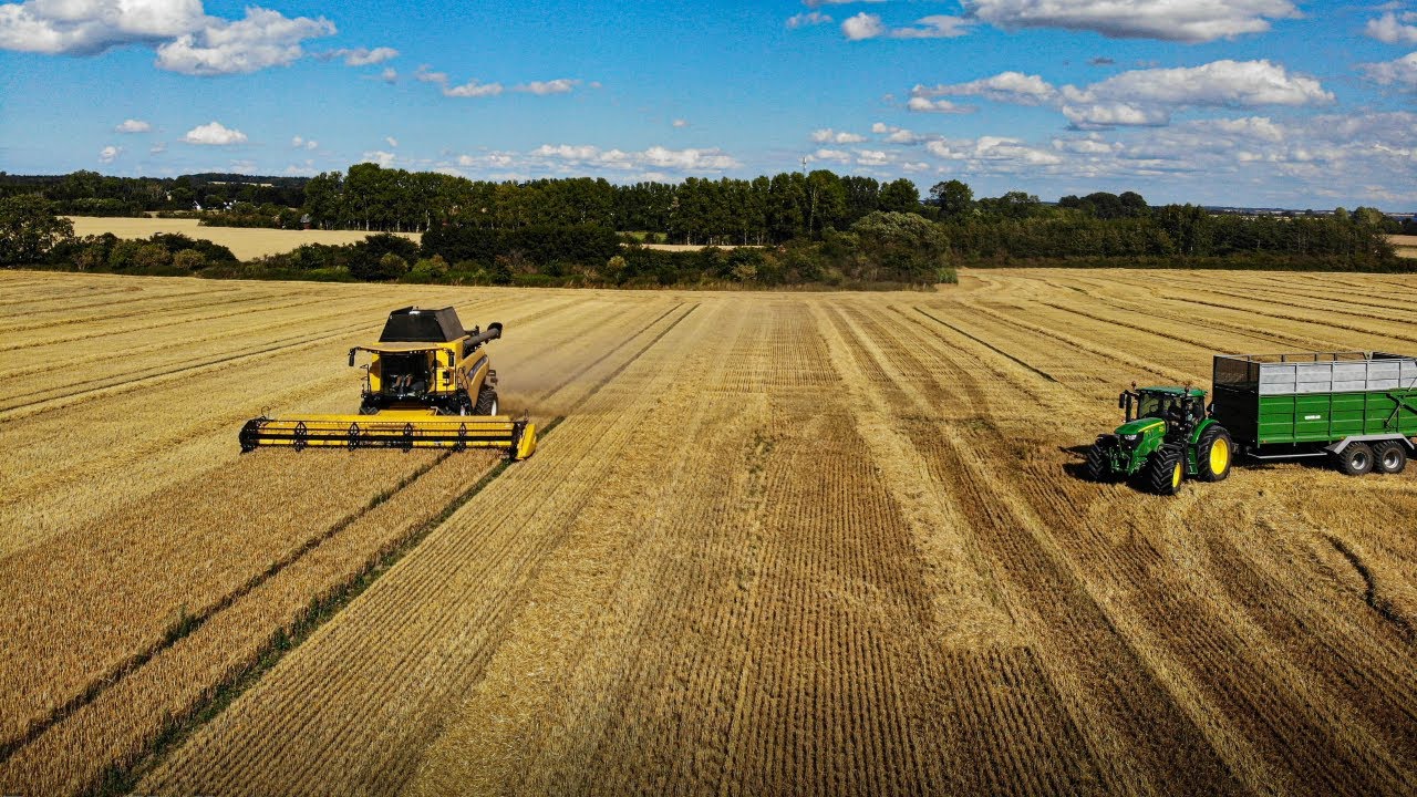 [4K]Hansen Maskinstation | 2 New Holland cr 8.90 Harvesting barley 2020 | John deere 6155r