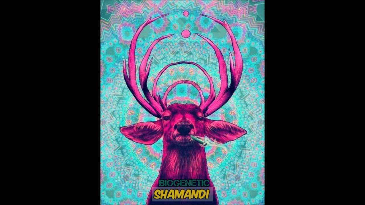 Biogenetic - LSD (Original Mix)