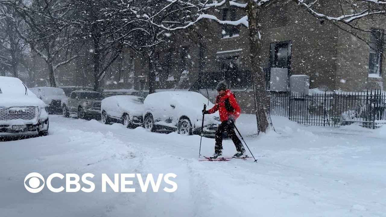 Videos capture New Yorkers moving through snow-covered streets, playing in parks