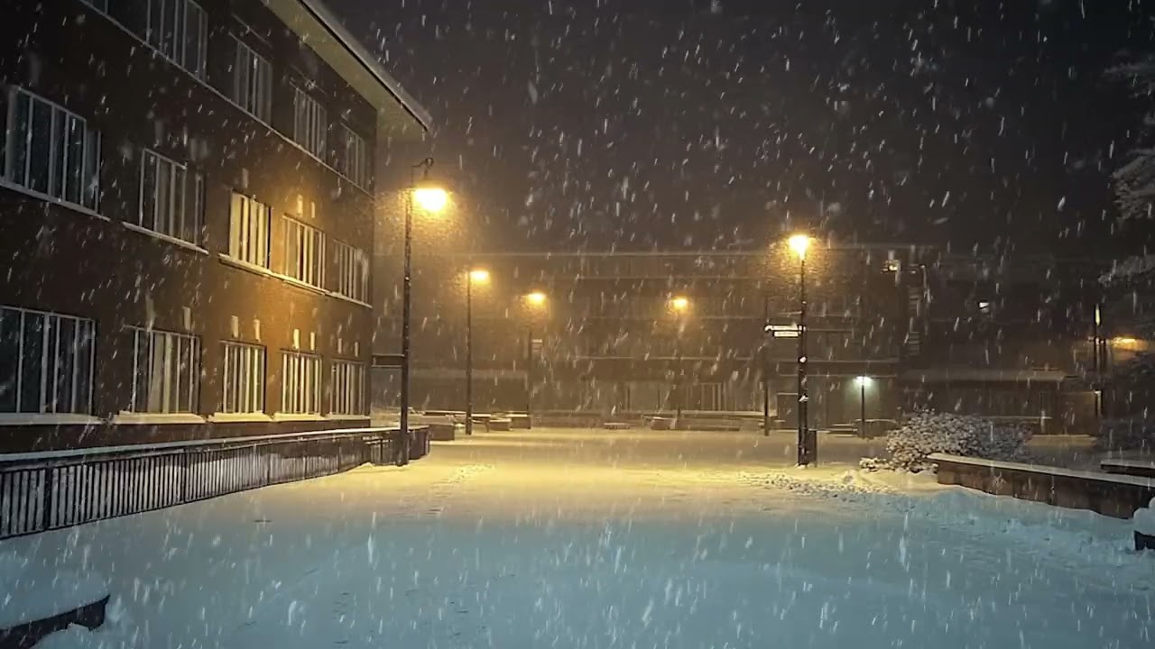 A Road Exists Only for Snow and Silence in the Earliest Hours of Winter