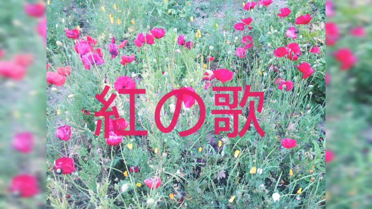 学会歌  「紅の歌」SGI song「kurenai no uta」(song of Red)