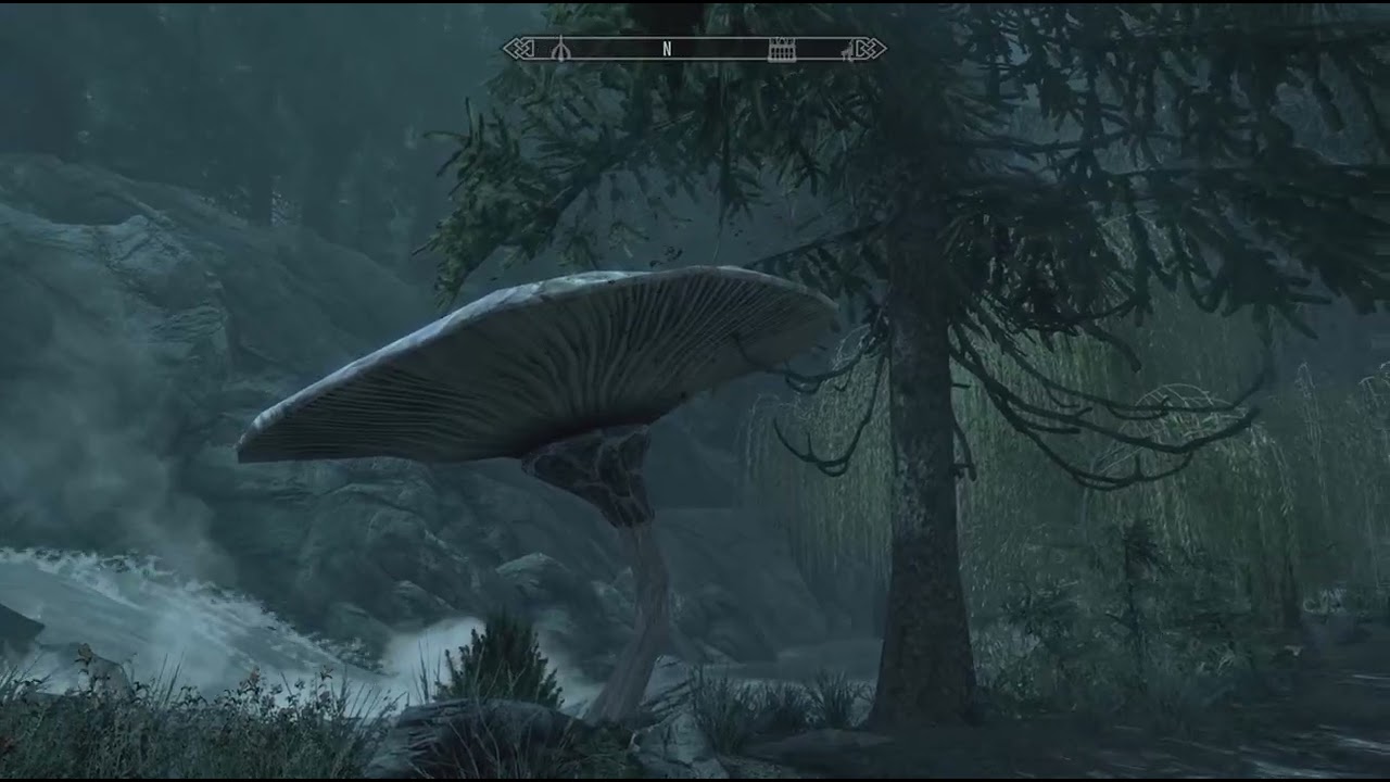 Skyrim PS5/PS4: Fabled Forests