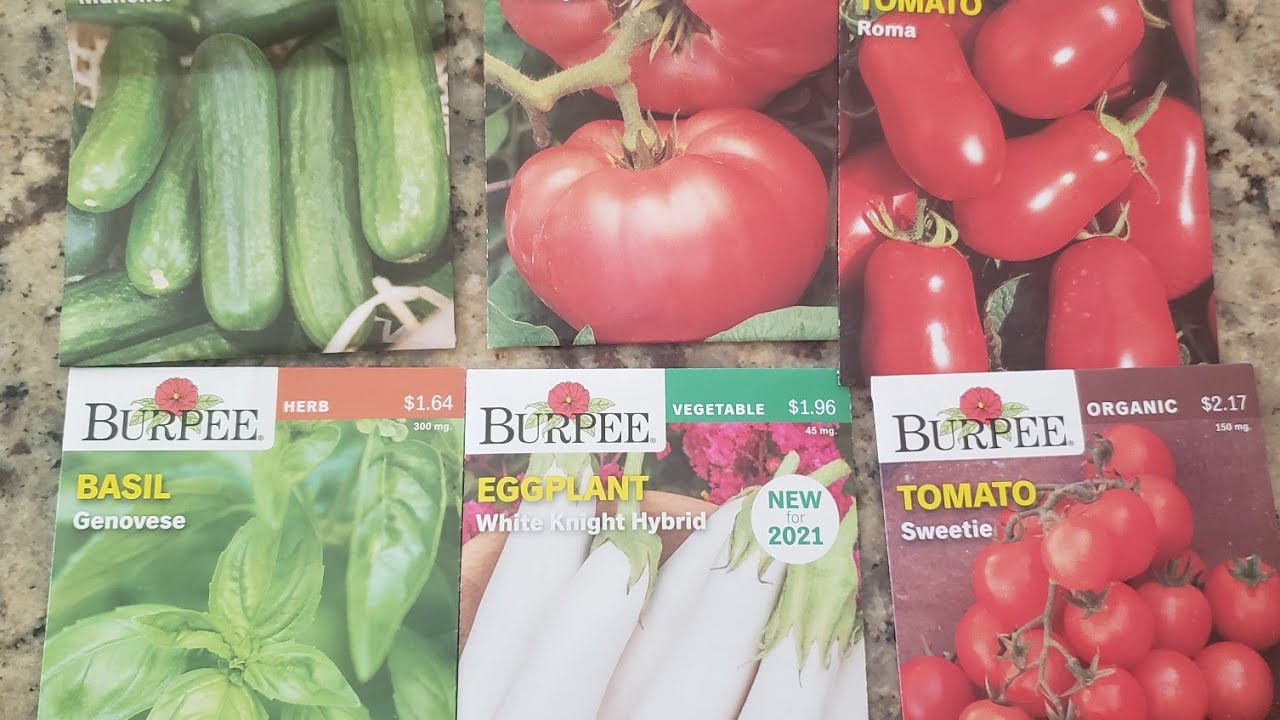 طريقة زراعة بذور الخضار فى المنزل بمنتهى السهولة How to grow vegetable seeds very easily