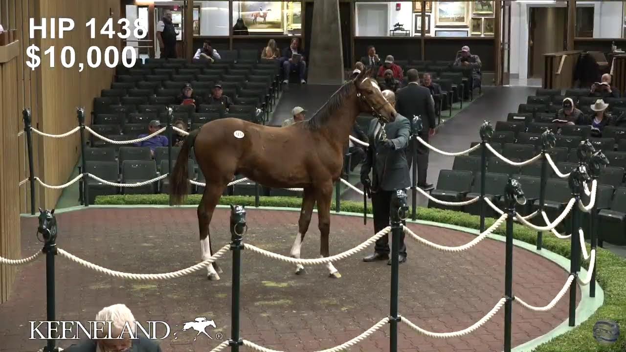 Keeneland November Livestream