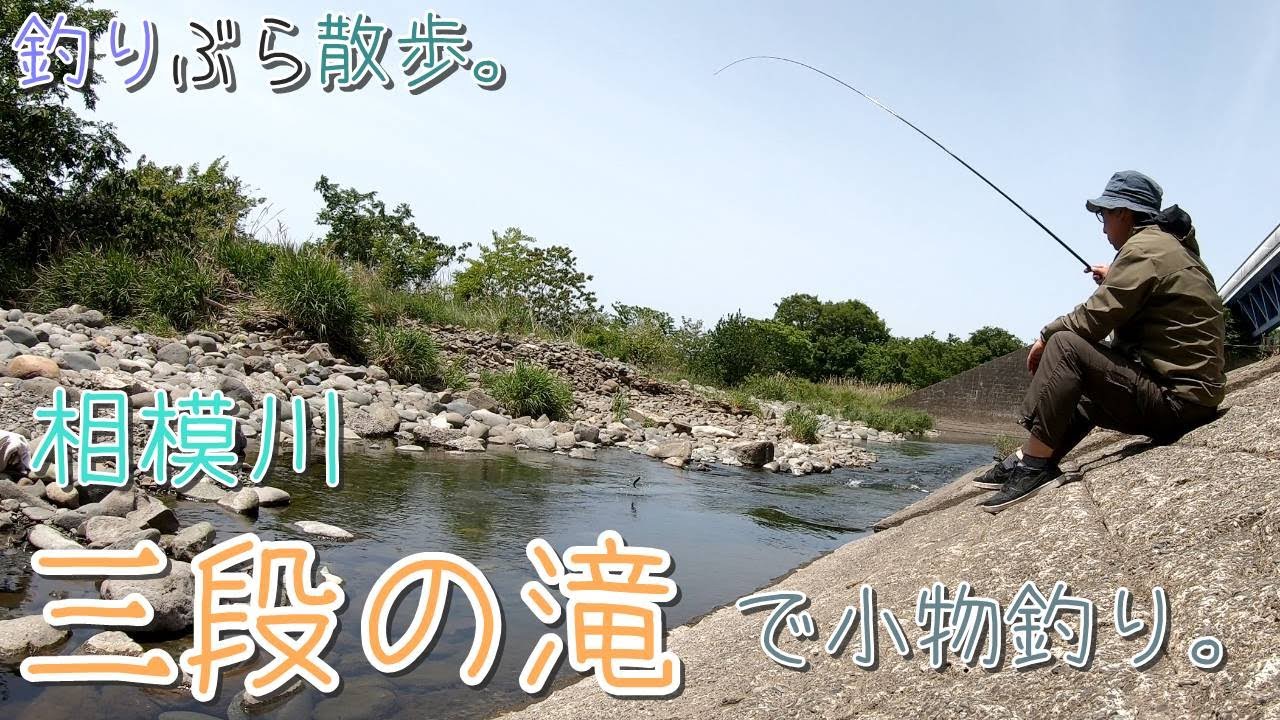 【小物釣り】魚が沢山泳ぐ！神奈川県相模川 三段の滝で小物釣り。【淡水】