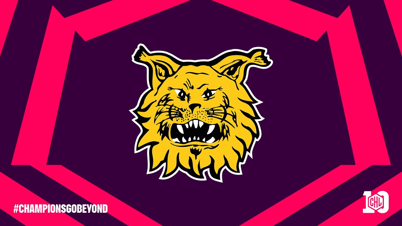 Meet the Teams | Ilves Tampere