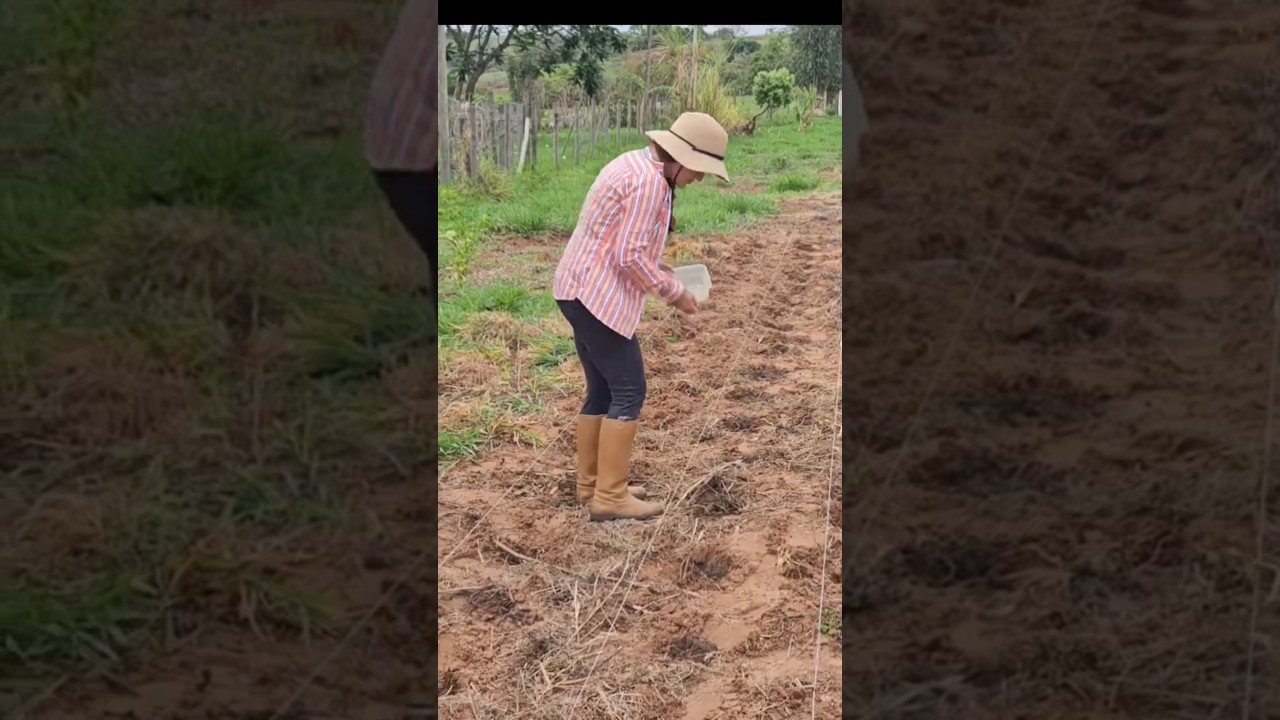 Cons&oacute;rcio milpa!#shorts