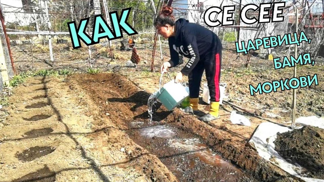 ДНЕВЕН ВЛОГ I КАК СЕ СЕЕ ЦАРЕВИЦА, МОРКОВИ И БАМЯ?