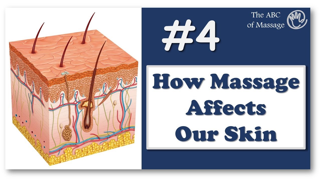 #4 Skin structure for massage therapists | How massage affects our skin | Massage lesson
