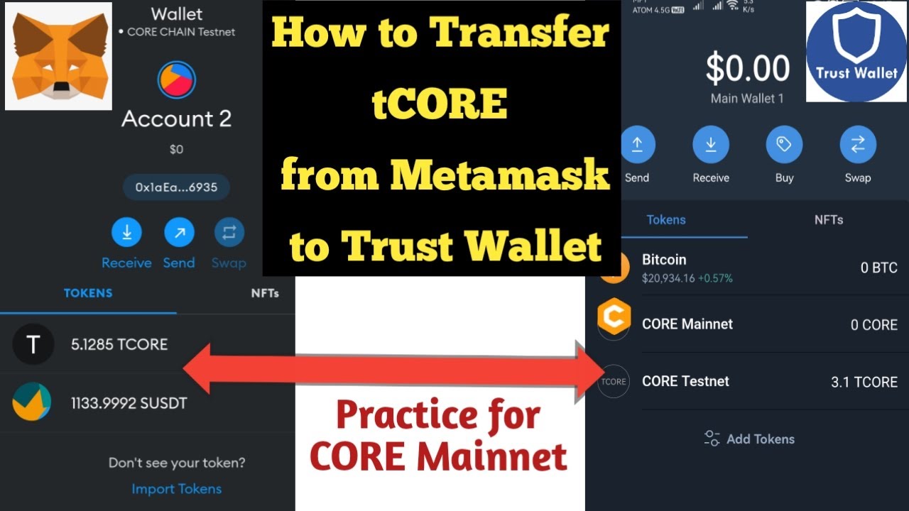 How to transfer tCORE from Trust Wallet to Metamask | How to Transfer CORE