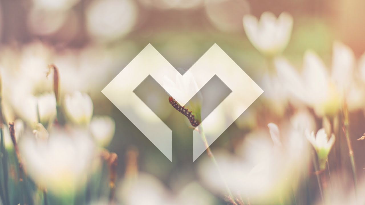 [LYRICS] Miro - The Garden of Memories (ft. Noctilucent)