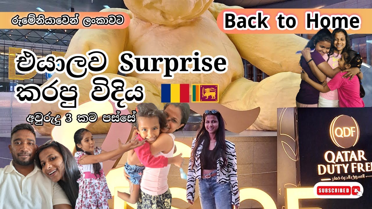 අවුරුදු 3 කින් ලංකාවට 🇱🇰 🇷🇴 | හැමෝම Surprise උන හැටි ❤ | 84 kg ගෙනියපු විදිය 😱❓