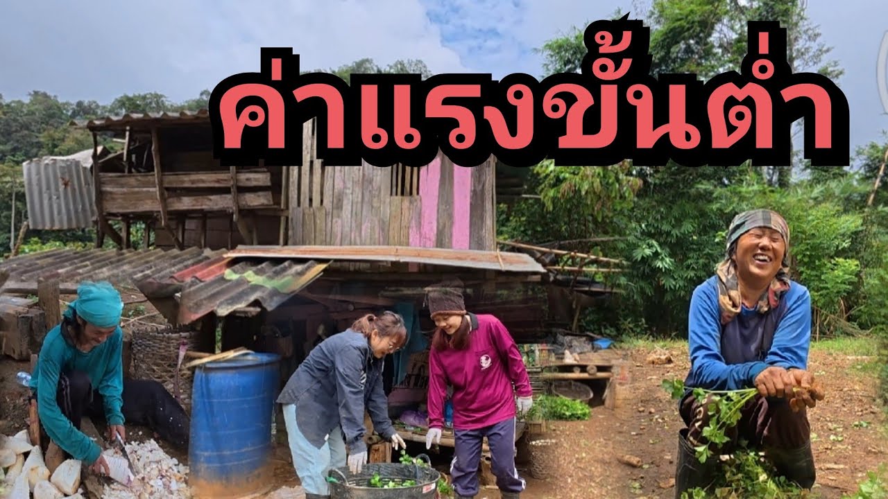 เป็นลูกจ้างแม่อีก 1 วัน ญาญ่ากับหมูอ้วนไปช่วยแม่ทำงานฉบับคนขี้เกียจ พี่จงช่วยแบกผักไปขาย!!!