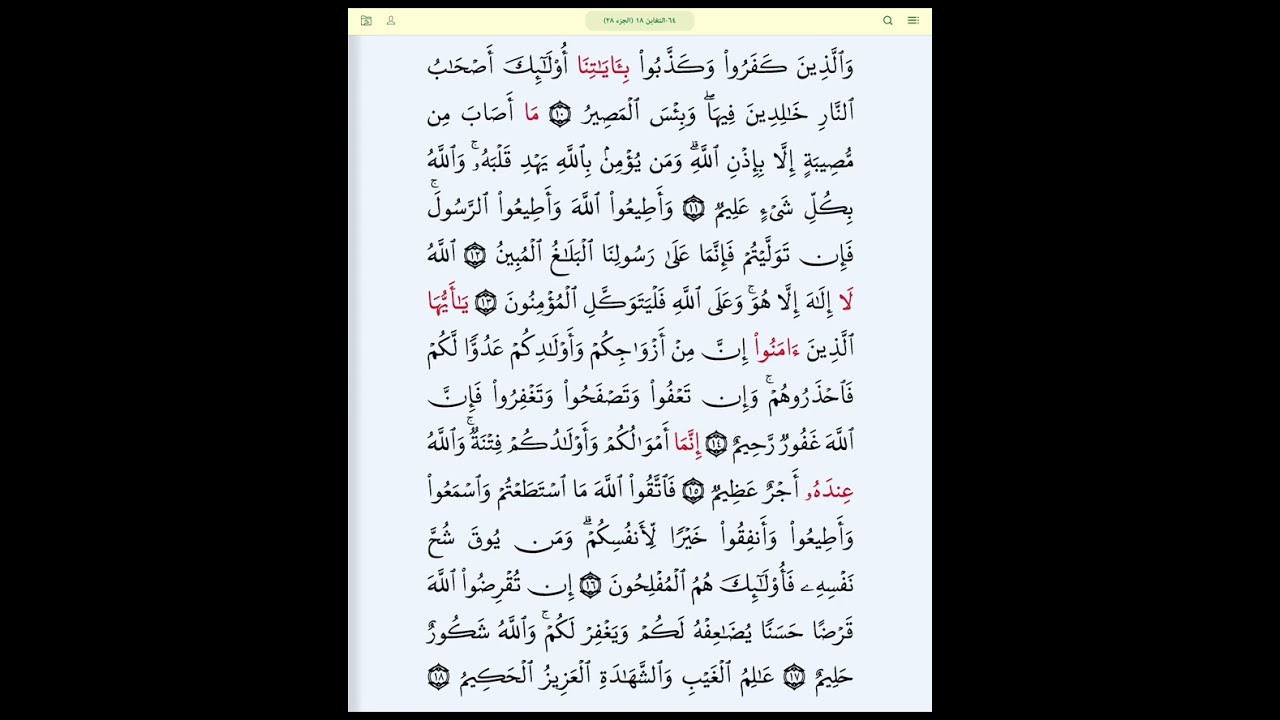 #سورة_التغابن_بروايةقالون#الحصري_المعلم_سورةالتغابن كل آية مكررة ثلاث مرات#قالون_عن_نافع
