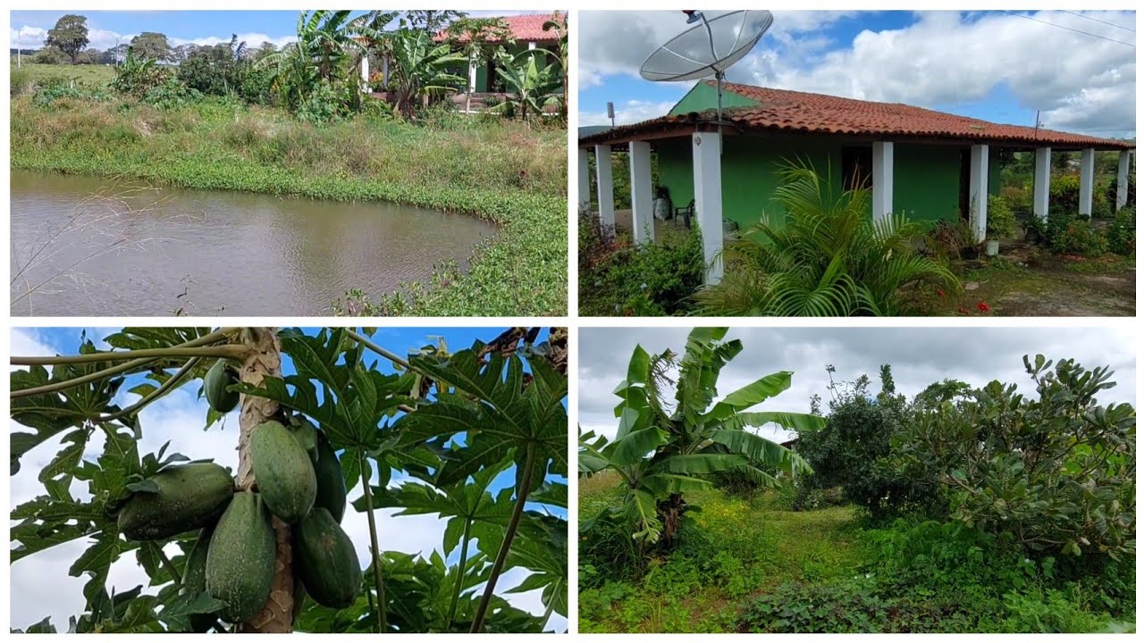 LINDA CHÁCARA A VENDA COM MUITA ÁGUA,  FRUTÍFERAS,  PASTAGEM E UMA CASA MUITA BOA
