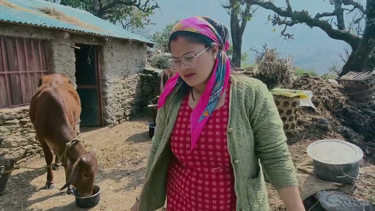 आज घर पे आए मेहमान शादी का बुलावा लेके # @neelamkunwar3775 