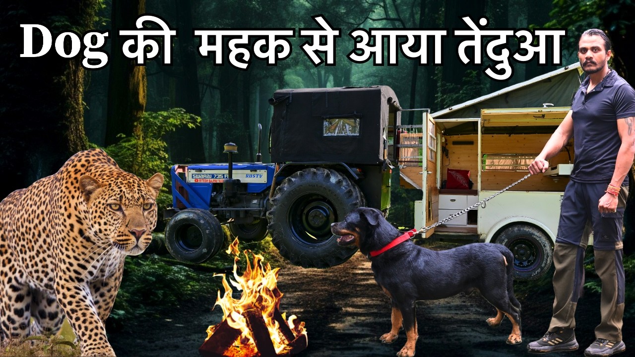 jungle Camping | Dog की महक से आया तेंदुआ | night camping in tractor caravan