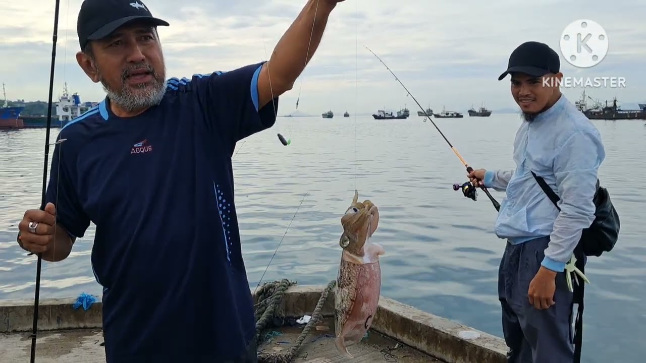 SQUID ON AT AMR FISH PORT ZAMBOANGA CITY PHILIPPINES 🇵🇭 