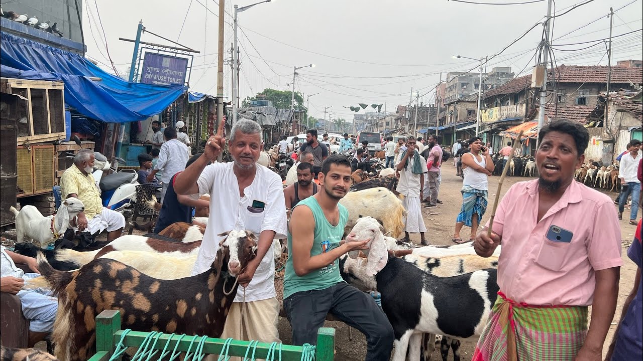 Rajabazar Goat Market | Goat Price Kolkata