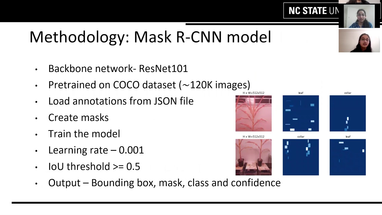 Фенотипирование растений на основе глубокого обучения с использованием Mask RCNN