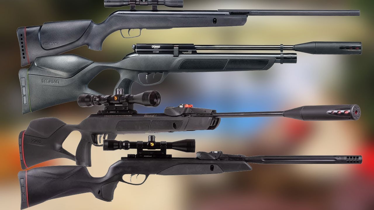 Top 10 Best Gamo Air Rifles 2025 - Best Gamo Air Rifle for Hunting 2025